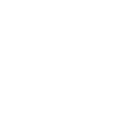 Ris